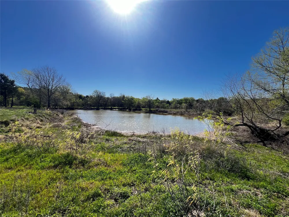 FCR 971 Mexia, TX 76667