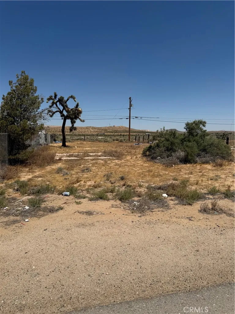 26081 20 Mule Team Boron, CA 93516
