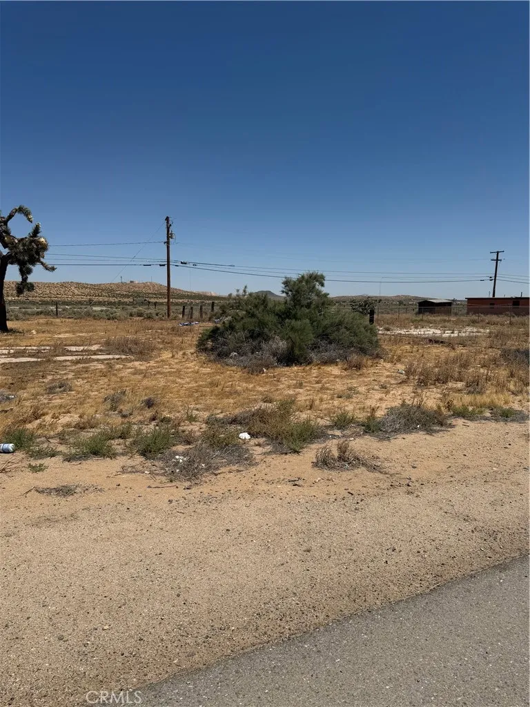 26081 20 Mule Team Boron, CA 93516
