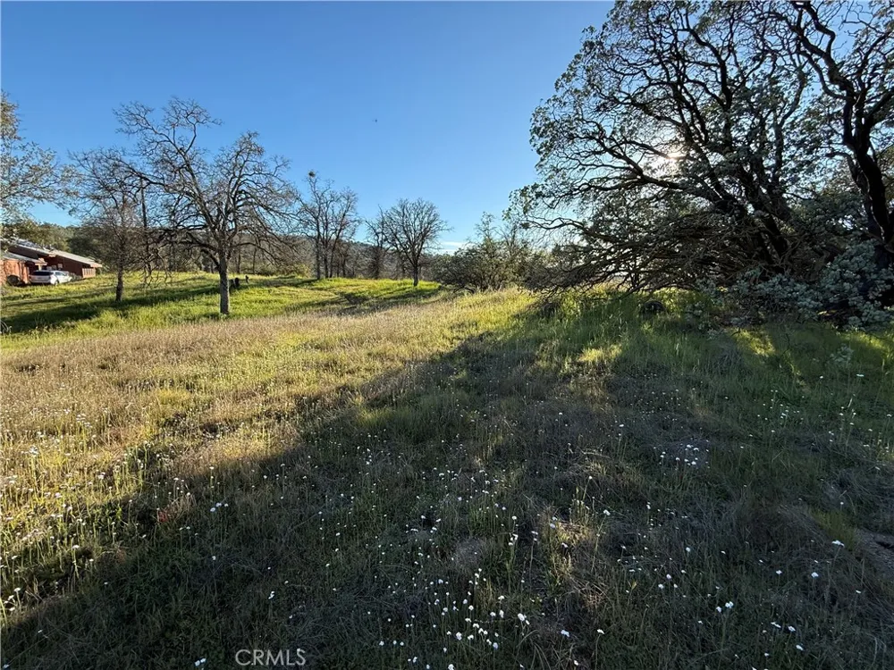 Long Hollow lot 1631 Coarsegold, CA 93614