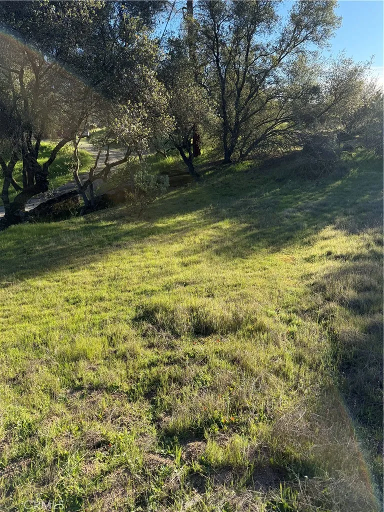 Long Hollow lot 1631 Coarsegold, CA 93614