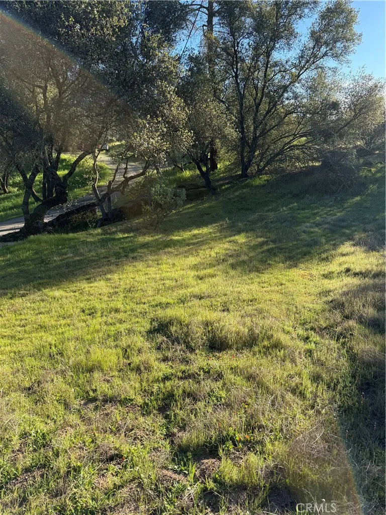 Long Hollow lot 1631 Coarsegold, CA 93614