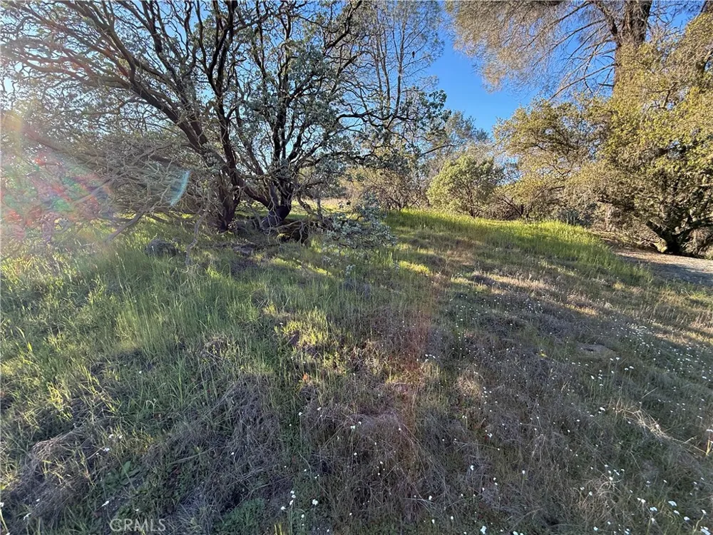 Long Hollow lot 1631 Coarsegold, CA 93614