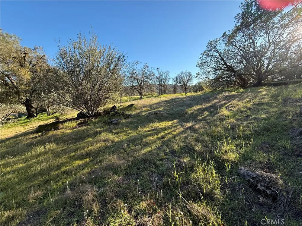 Long Hollow lot 1631 Coarsegold, CA 93614