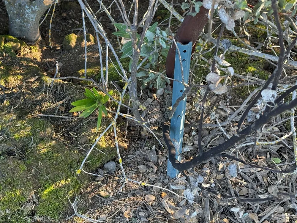 Long Hollow lot 1631 Coarsegold, CA 93614