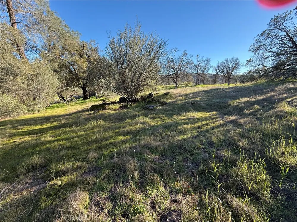 Long Hollow lot 1631 Coarsegold, CA 93614
