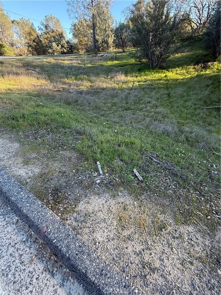 Long Hollow lot 1631 Coarsegold, CA 93614