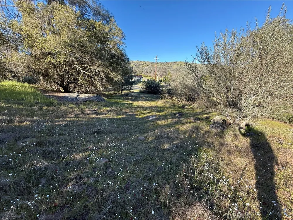 Long Hollow lot 1631 Coarsegold, CA 93614