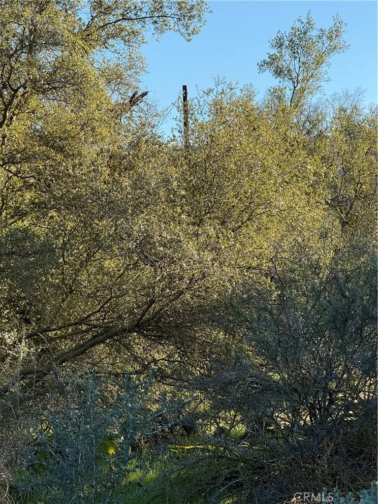 Long Hollow lot 1631 Coarsegold, CA 93614