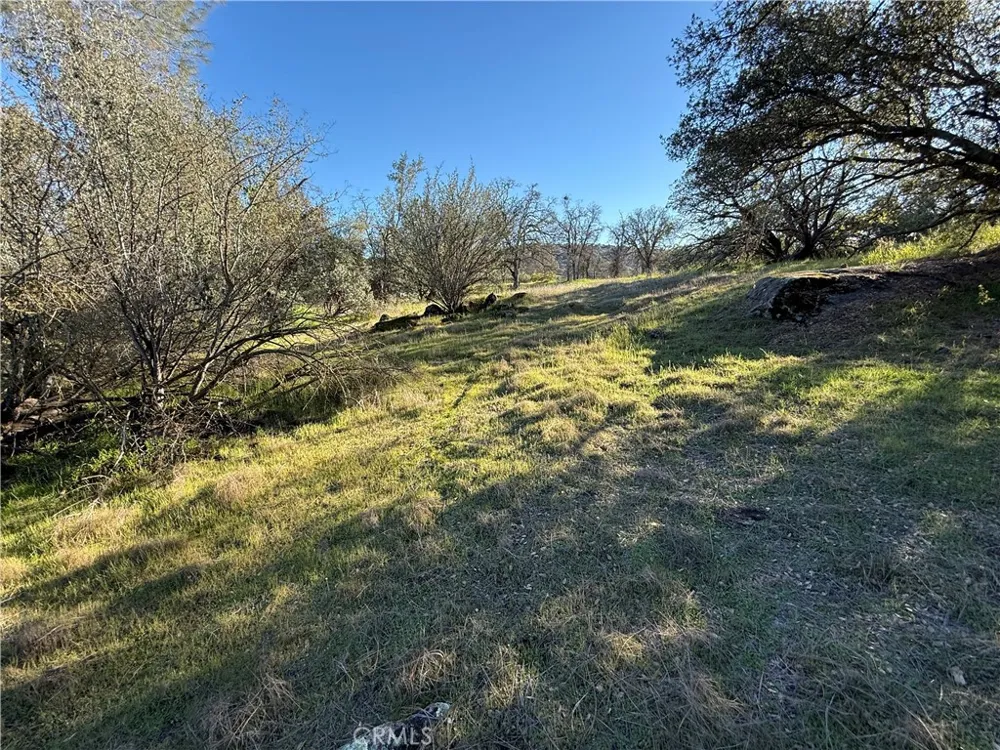 Long Hollow lot 1631 Coarsegold, CA 93614