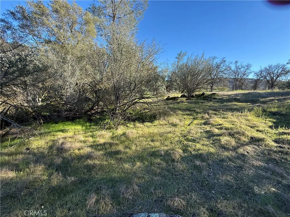 Long Hollow lot 1631 Coarsegold, CA 93614
