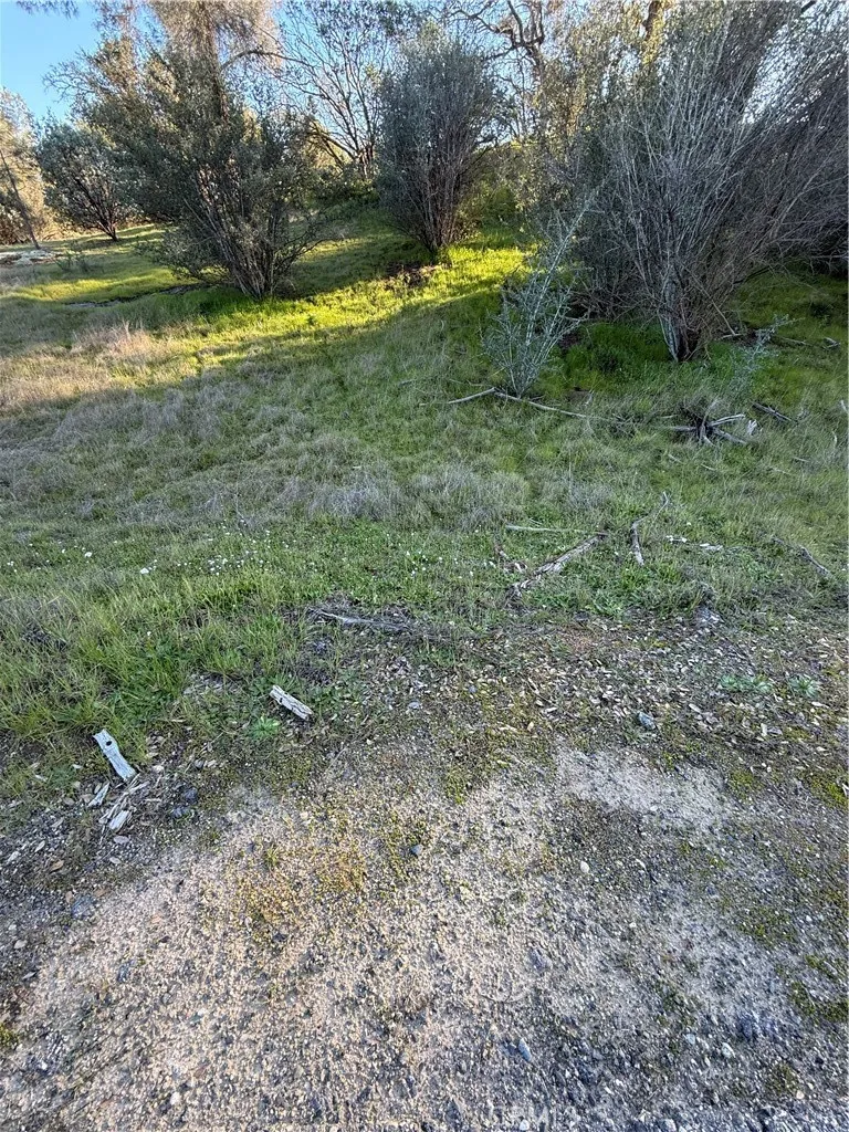 Long Hollow lot 1631 Coarsegold, CA 93614
