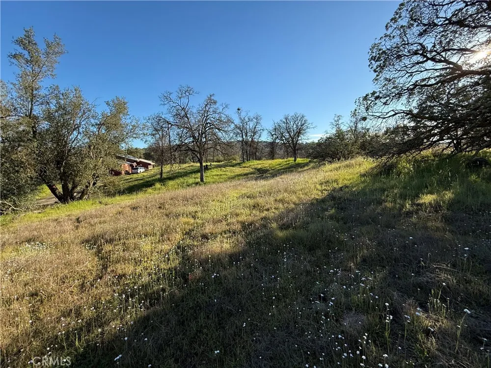 Long Hollow lot 1631 Coarsegold, CA 93614
