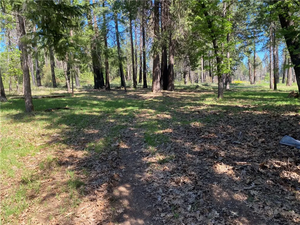 13790 Curtis Court Magalia, CA 95954