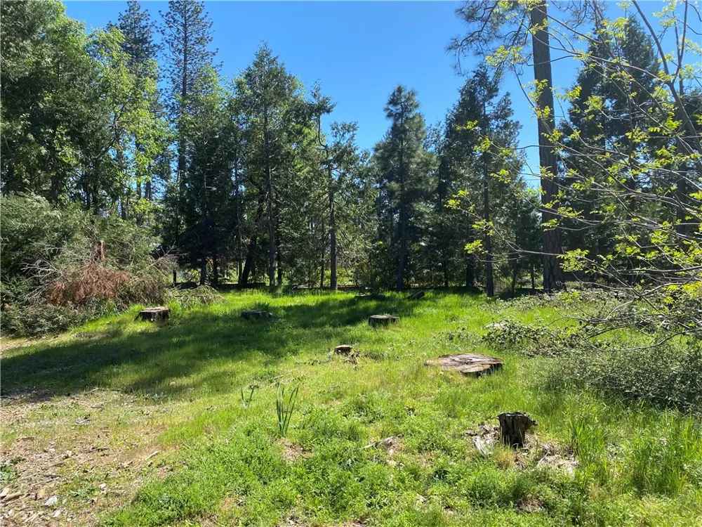 13784 Curtis Court Magalia, CA 95954