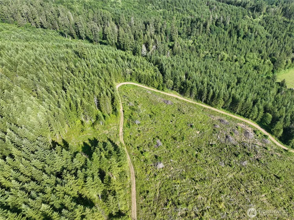 0 NE 206th Avenue Amboy, WA 98601