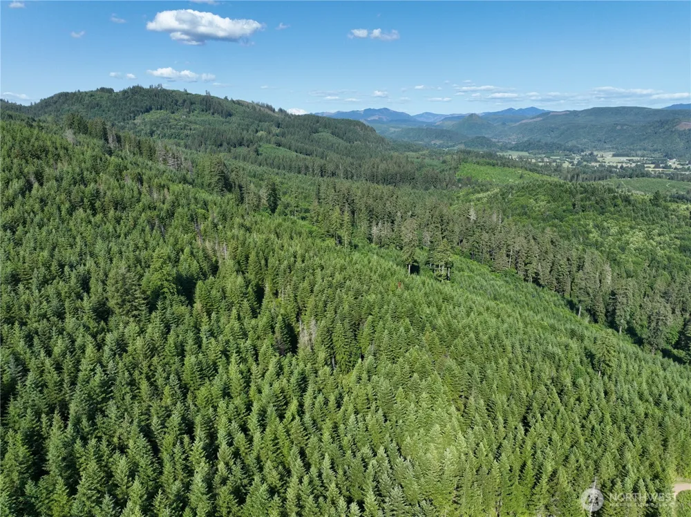 0 NE 206th Avenue Amboy, WA 98601