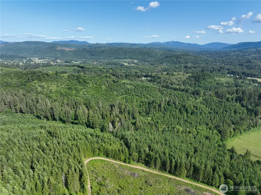 0 NE 206th Avenue Amboy, WA 98601