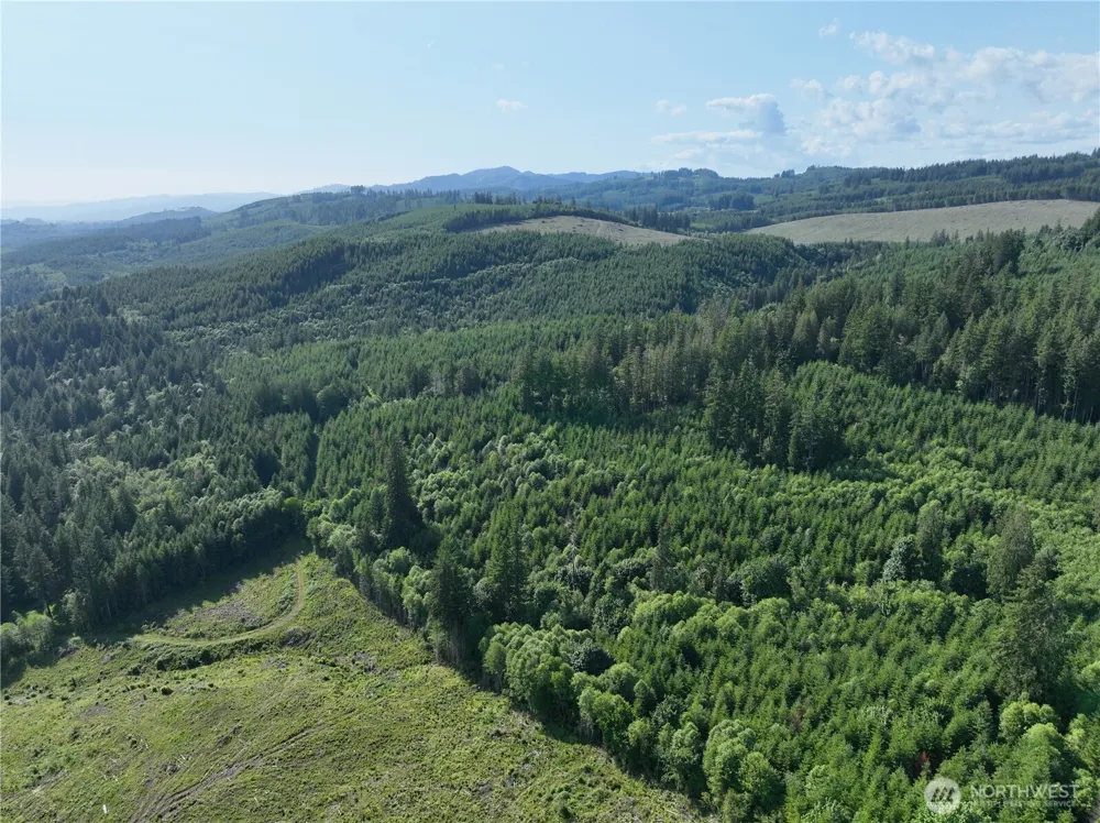 0 NE 206th Avenue Amboy, WA 98601