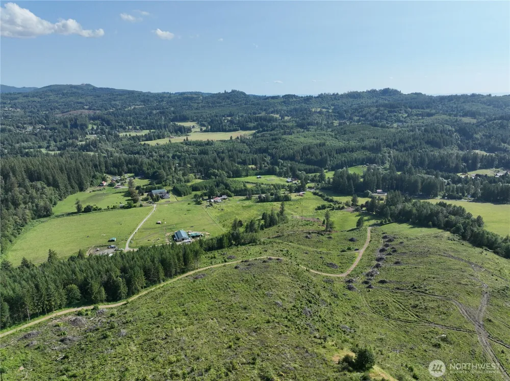 0 NE 206th Avenue Amboy, WA 98601