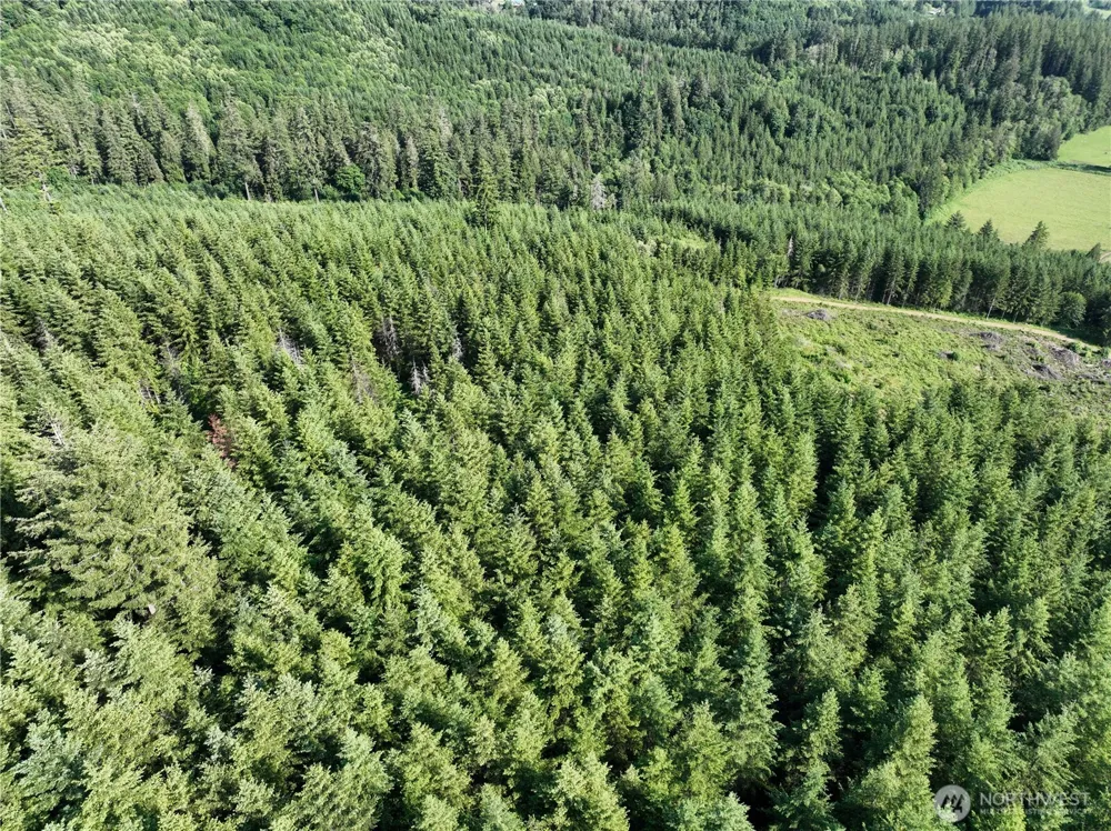 0 NE 206th Avenue Amboy, WA 98601