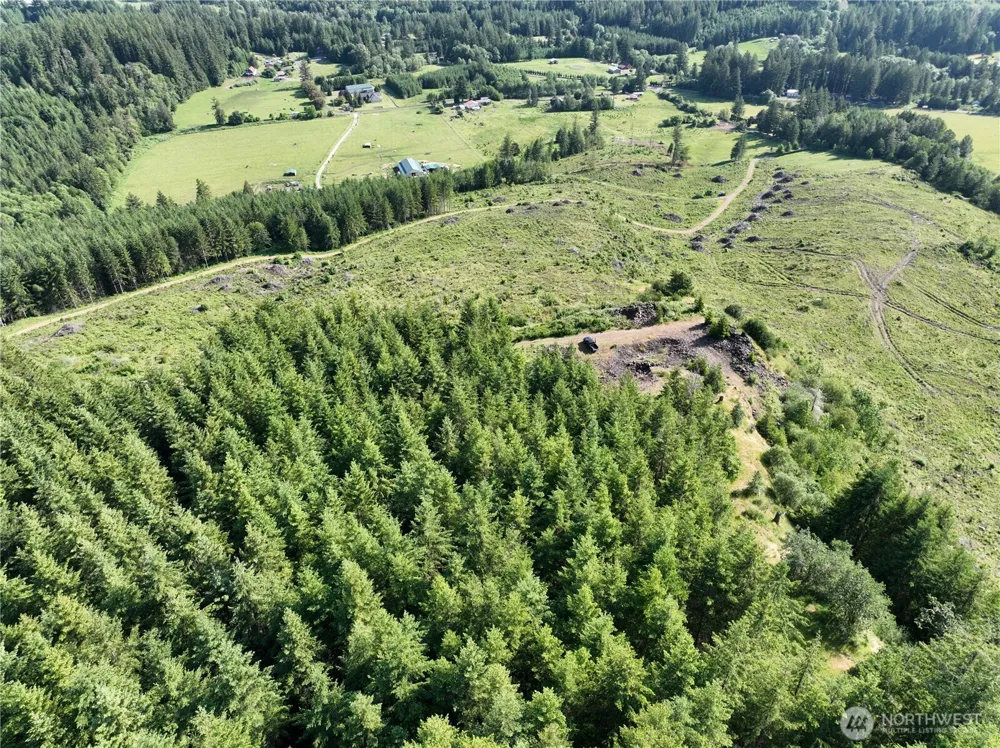 0 NE 206th Avenue Amboy, WA 98601