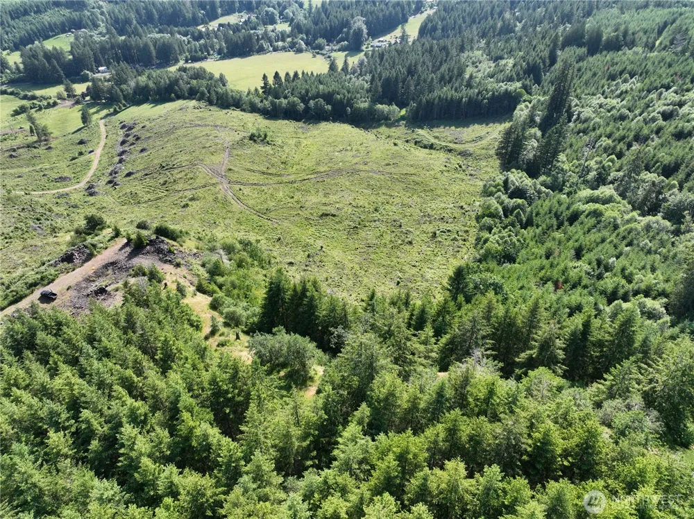 0 NE 206th Avenue Amboy, WA 98601