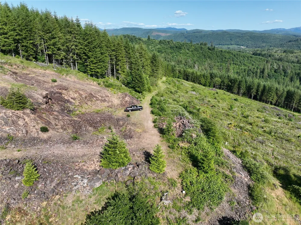 0 NE 206th Avenue Amboy, WA 98601