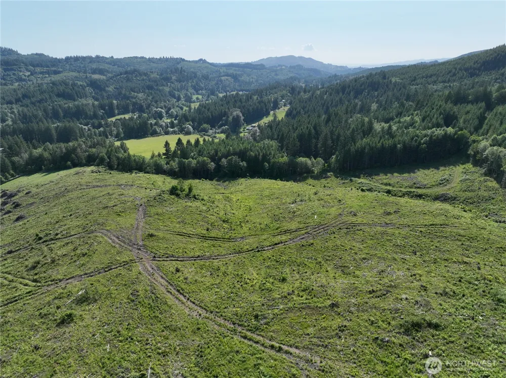 0 NE 206th Avenue Amboy, WA 98601
