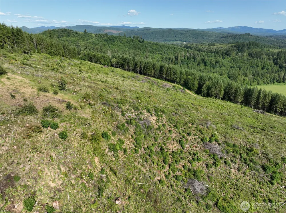 0 NE 206th Avenue Amboy, WA 98601