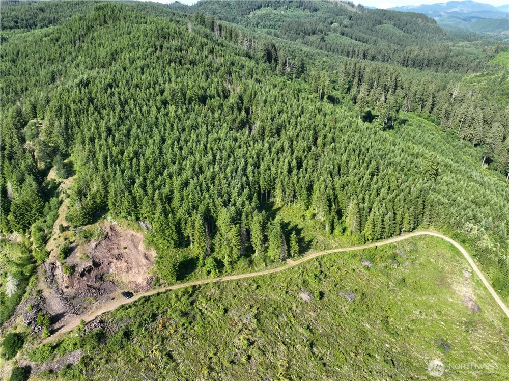 0 NE 206th Avenue Amboy, WA 98601