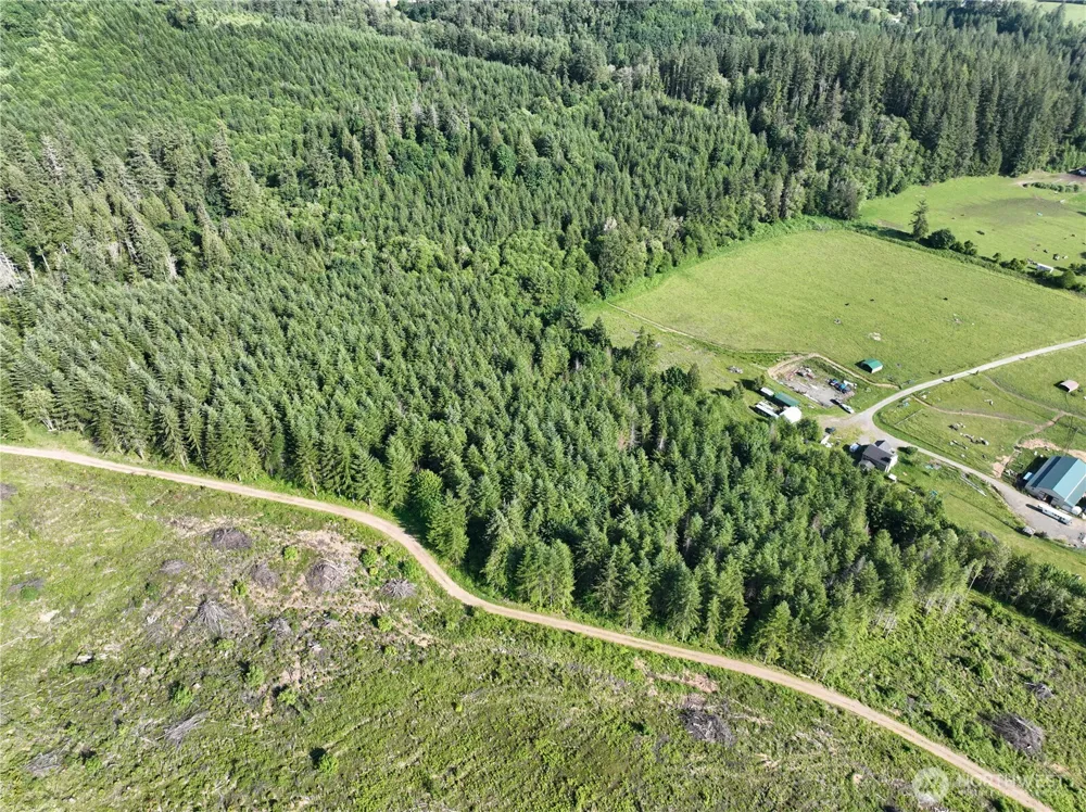 0 NE 206th Avenue Amboy, WA 98601