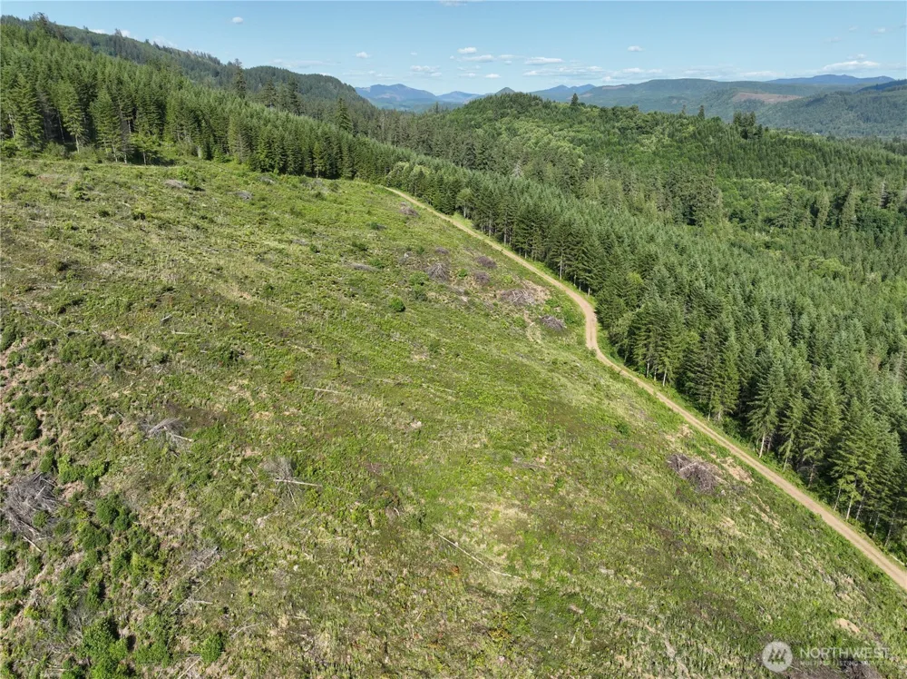 0 NE 206th Avenue Amboy, WA 98601