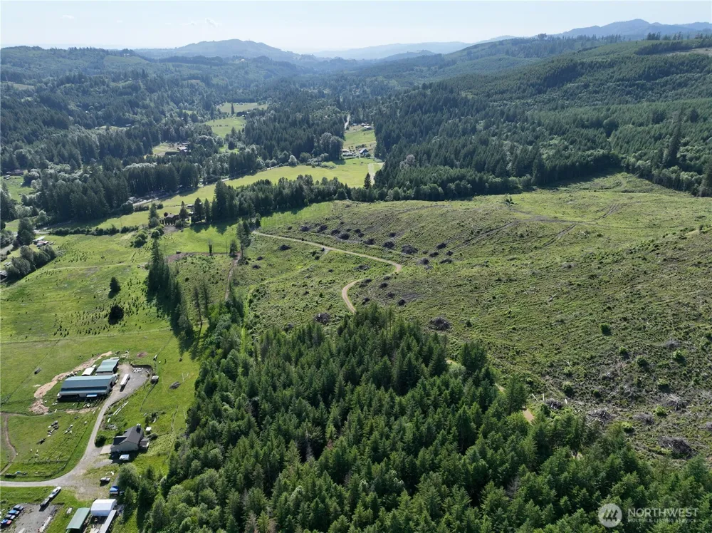 0 NE 206th Avenue Amboy, WA 98601