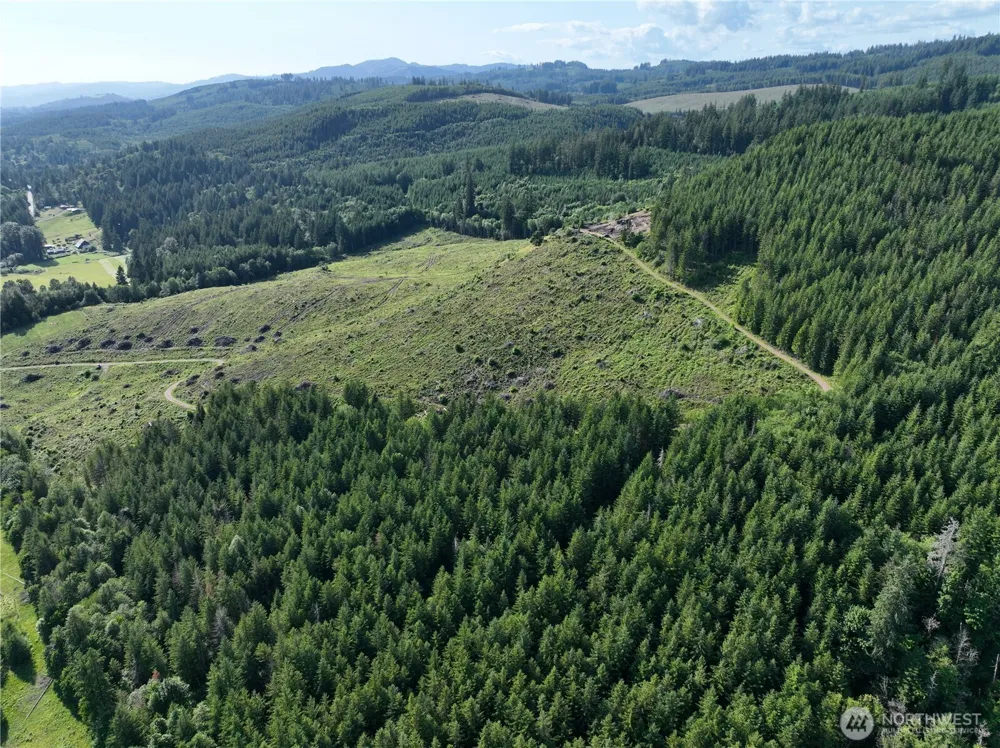 0 NE 206th Avenue Amboy, WA 98601