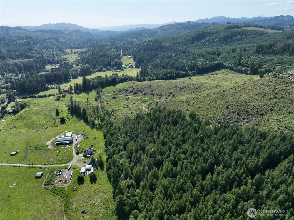 0 NE 206th Avenue Amboy, WA 98601