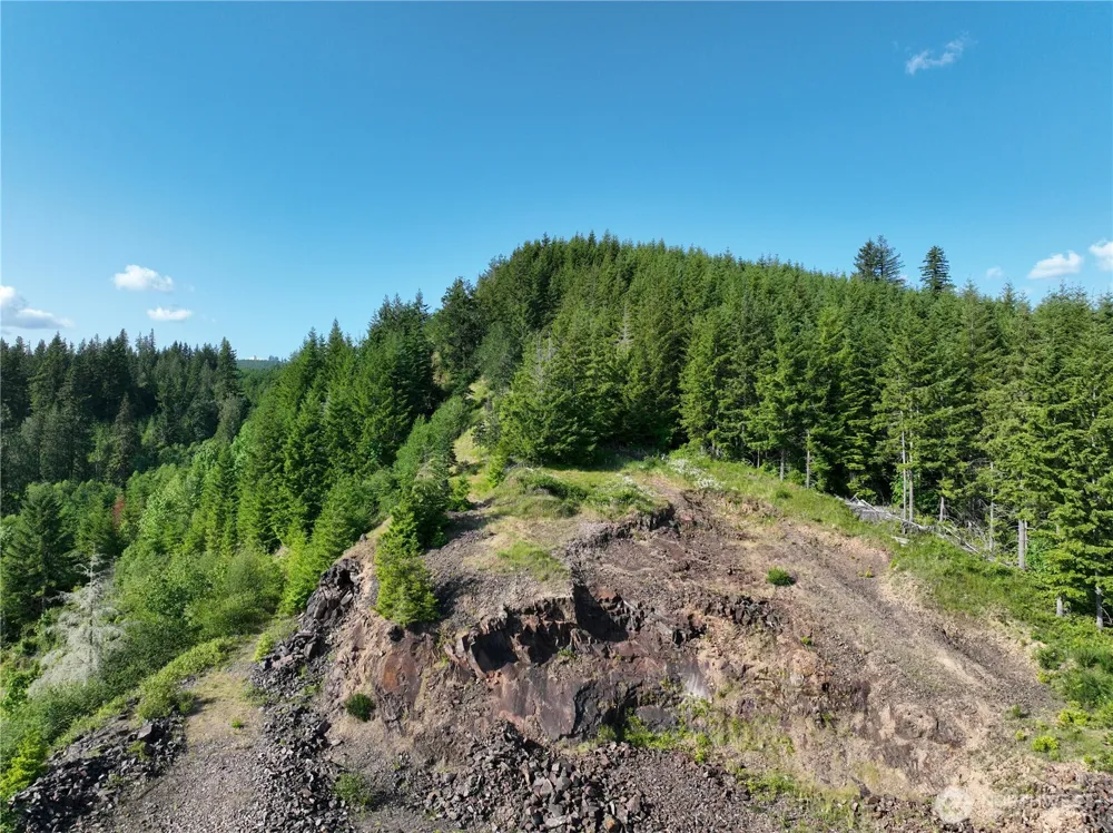 0 NE 206th Avenue Amboy, WA 98601