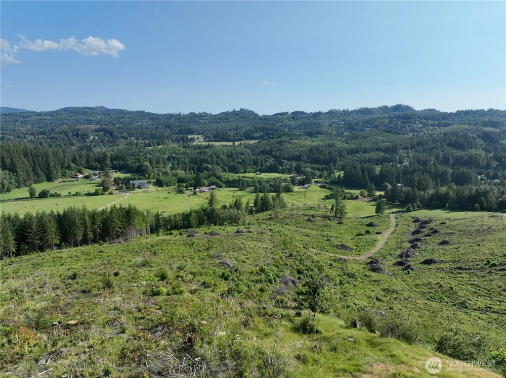 0 NE 206th Avenue Amboy, WA 98601
