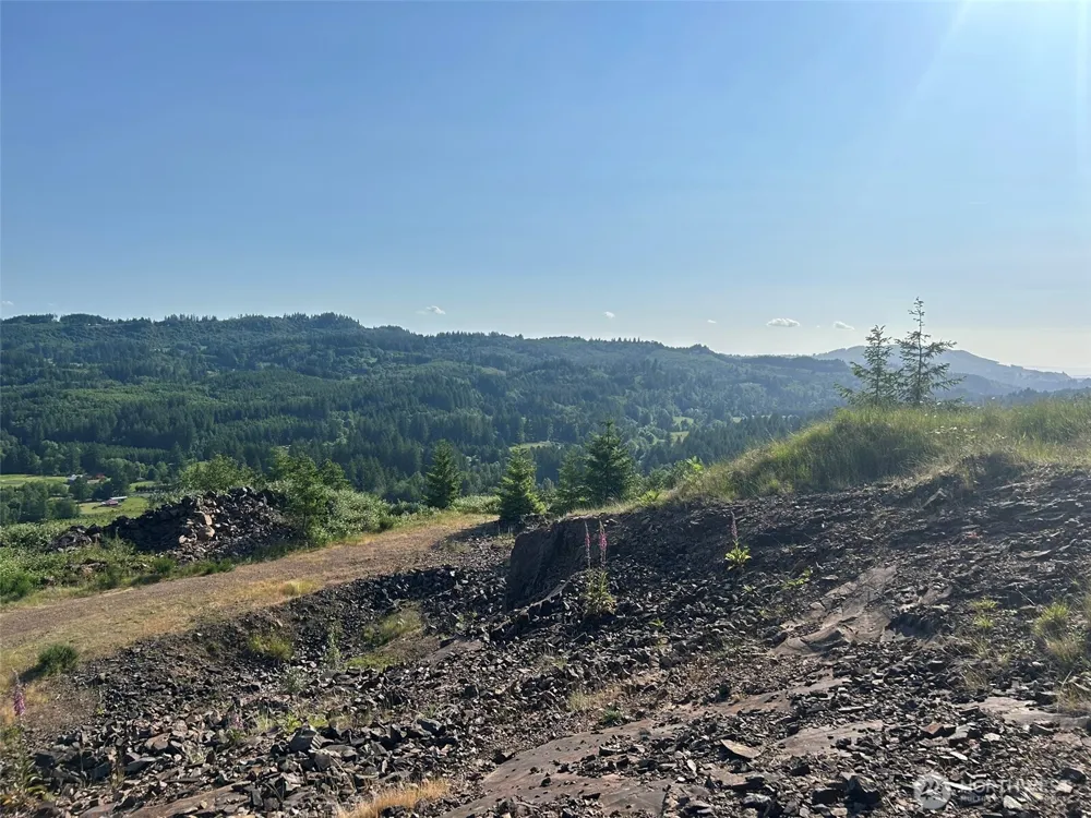 0 NE 206th Avenue Amboy, WA 98601