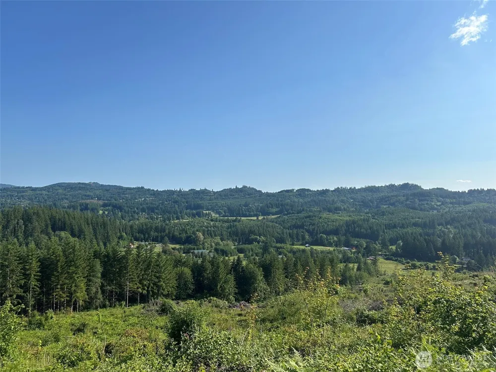 0 NE 206th Avenue Amboy, WA 98601