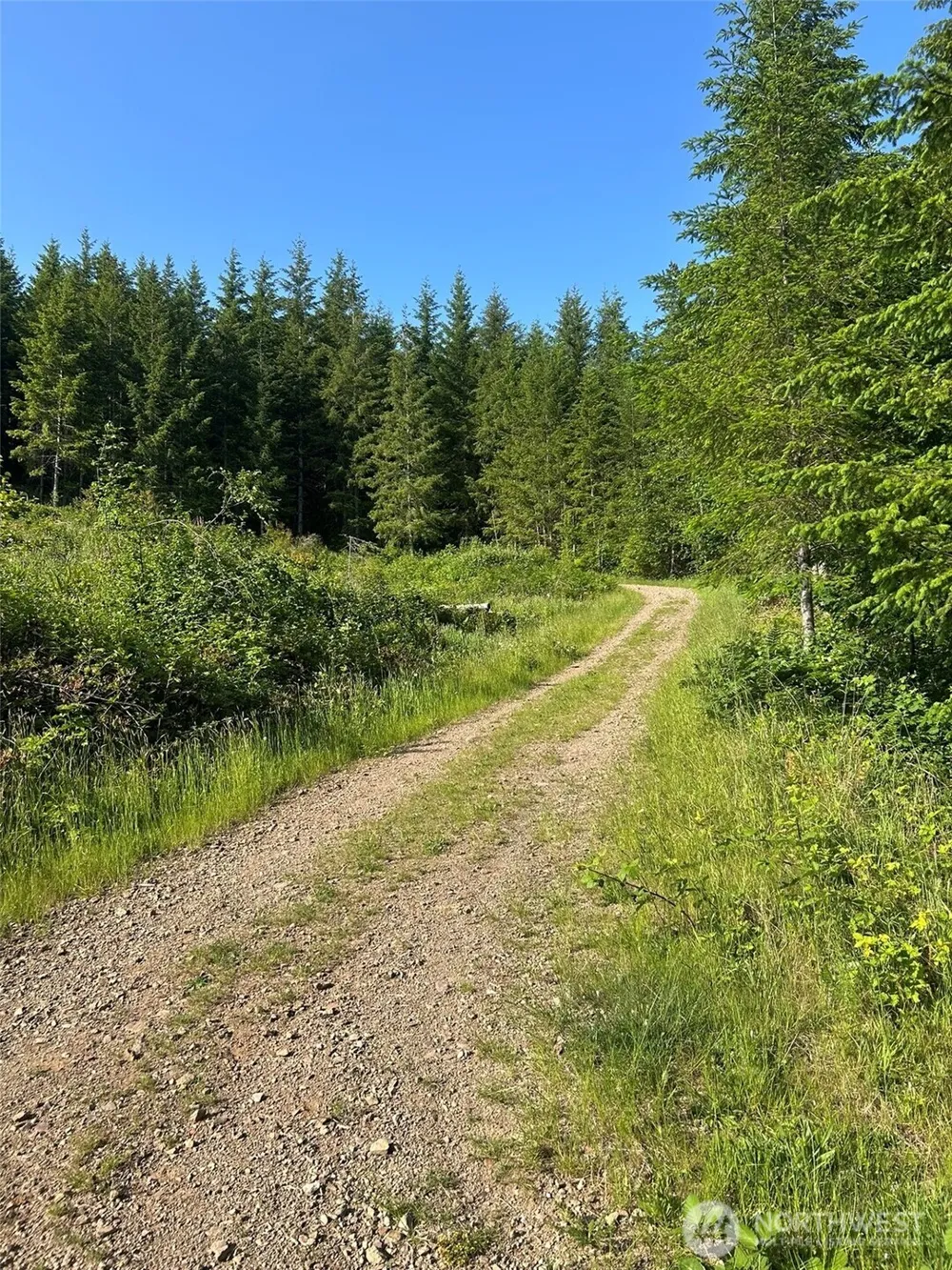 0 NE 206th Avenue Amboy, WA 98601