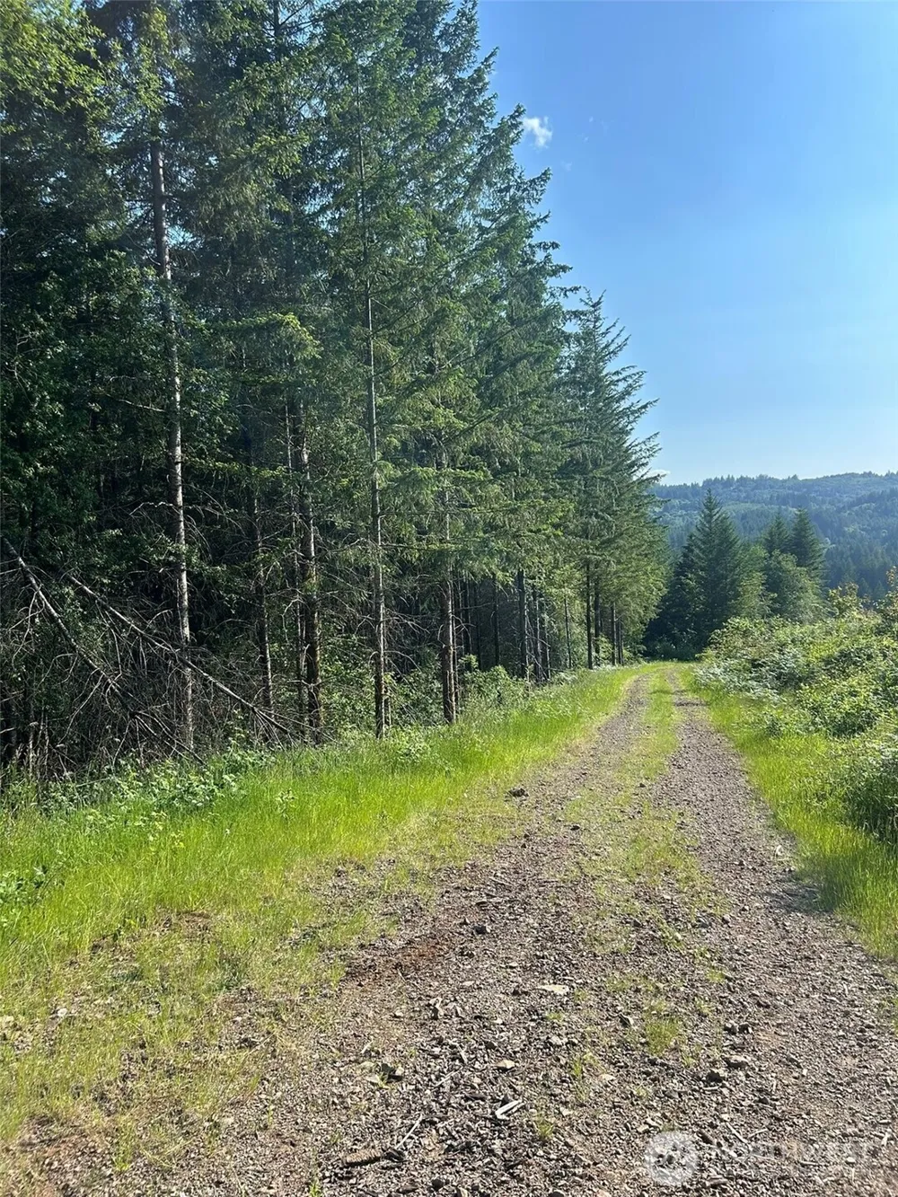 0 NE 206th Avenue Amboy, WA 98601
