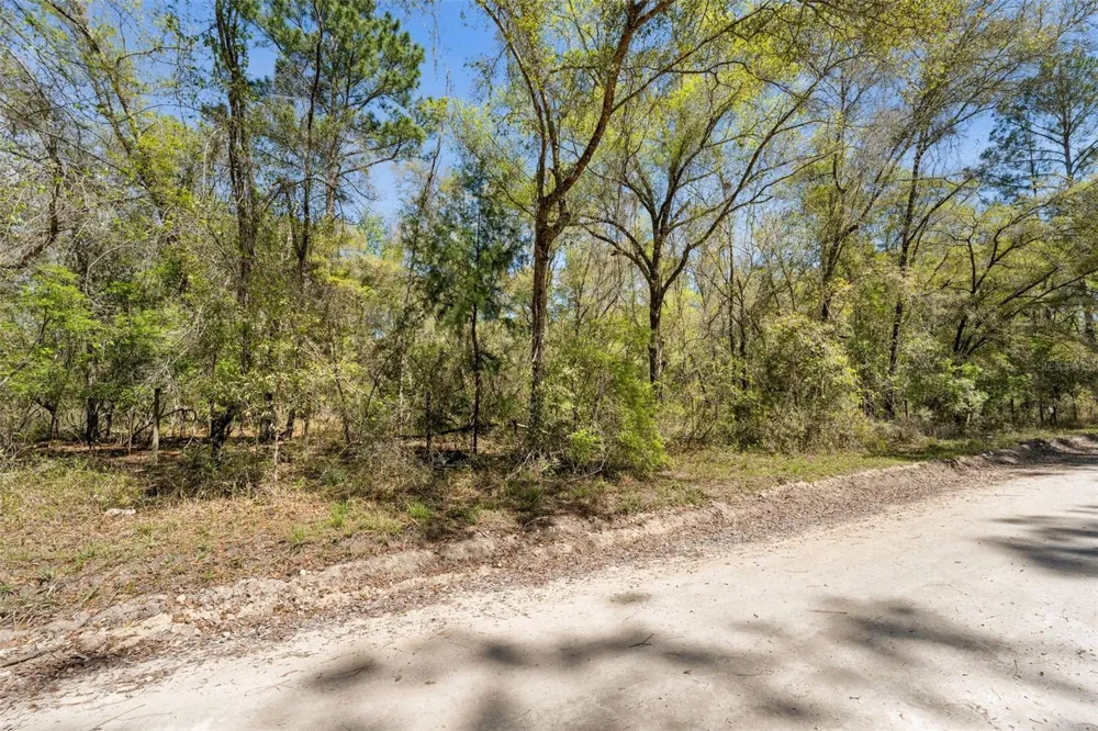 0 SE 91ST TRAIL Trenton, FL 32693