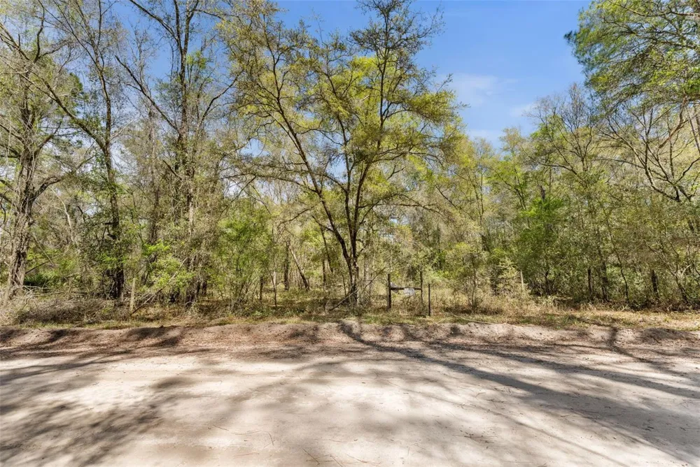 0 SE 91ST TRAIL Trenton, FL 32693