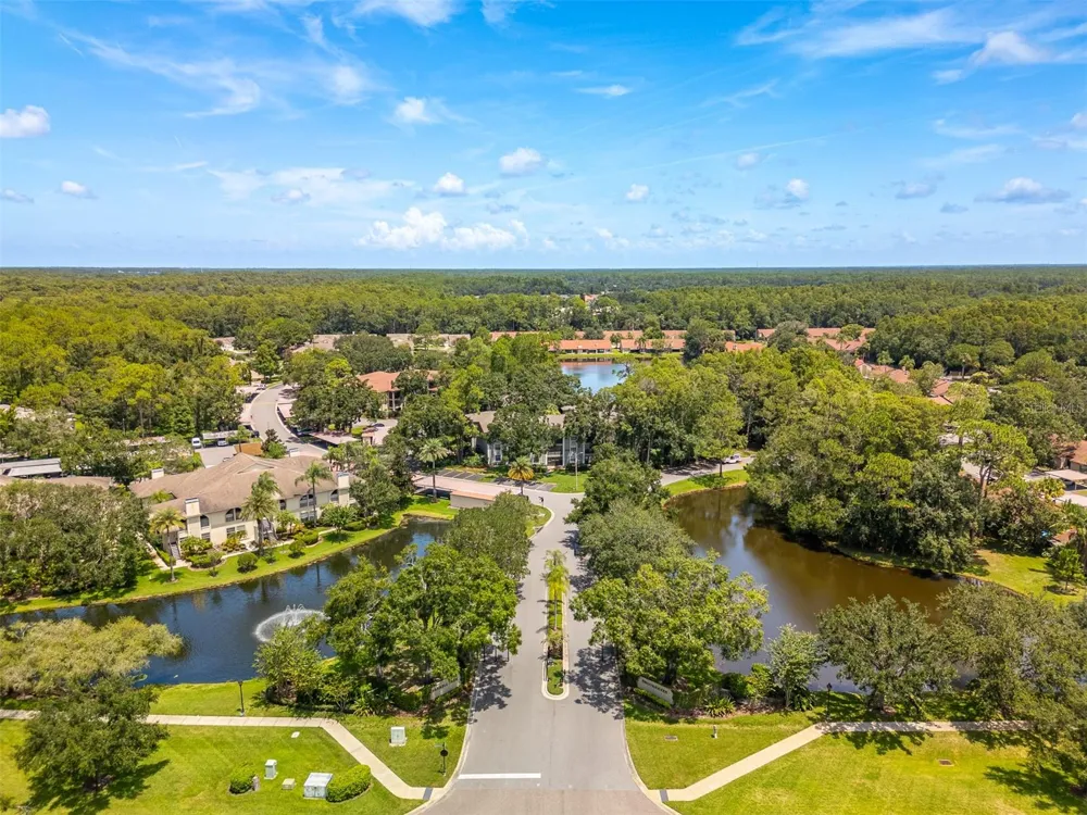 3960 MERMOOR DRIVE Palm Harbor, FL 34685