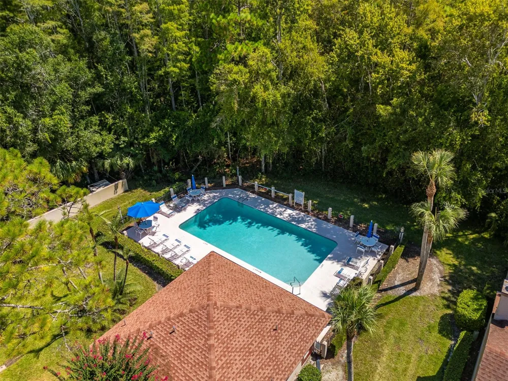 3960 MERMOOR DRIVE Palm Harbor, FL 34685