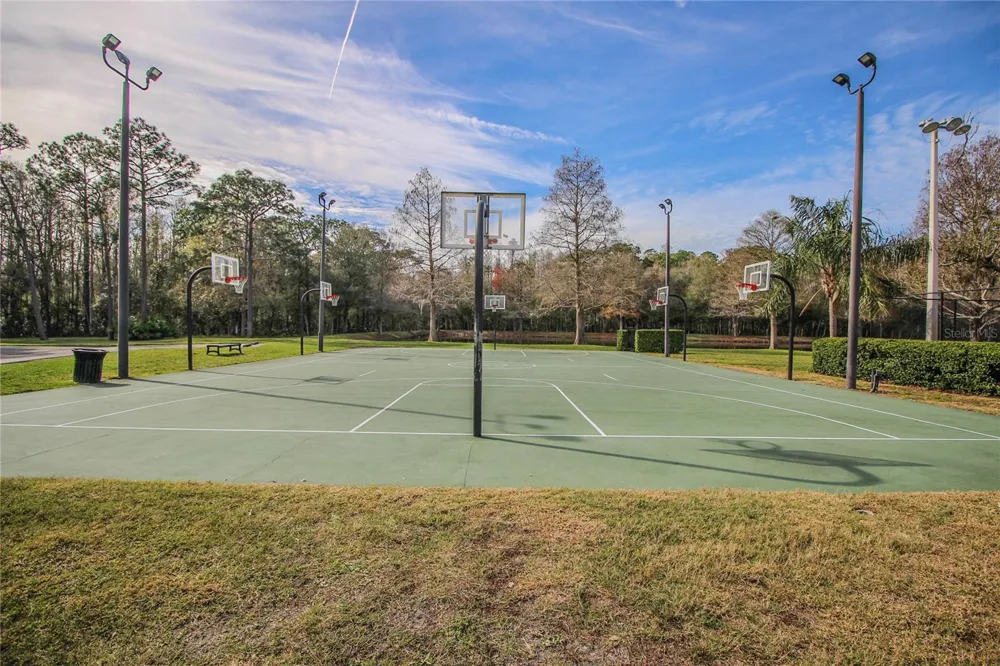 3960 MERMOOR DRIVE Palm Harbor, FL 34685
