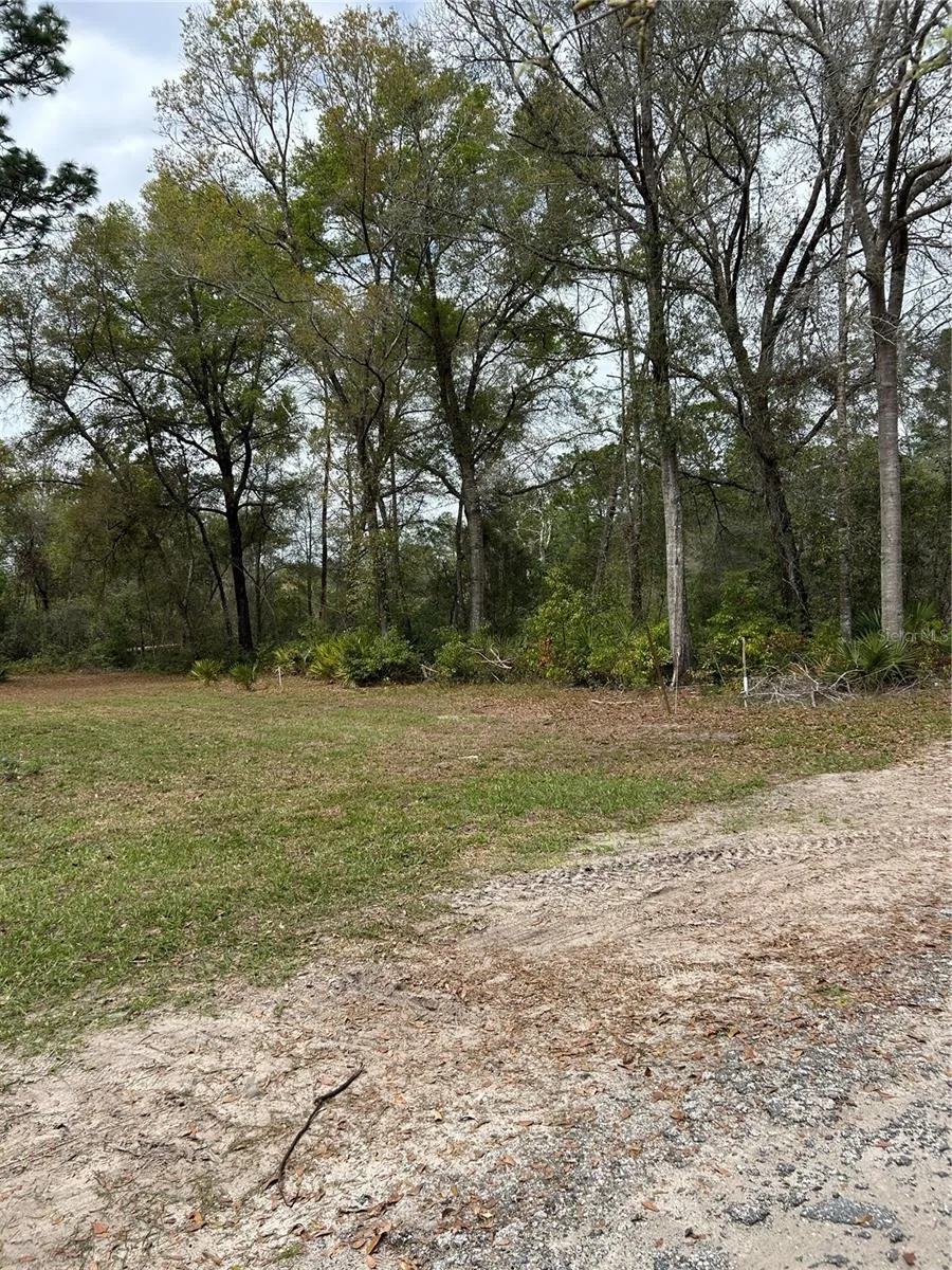 4TH STREET Altoona, FL 32702