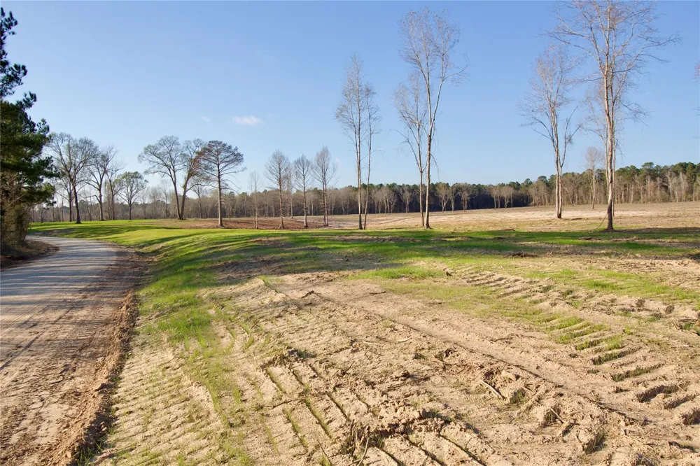 693 County Road 4700 Kennard, TX 75847