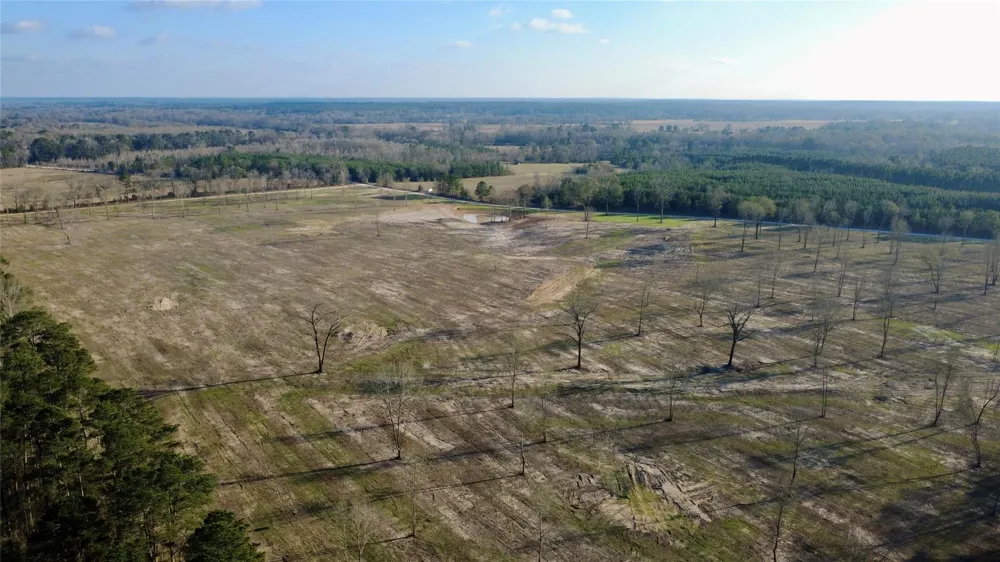 693 County Road 4700 Kennard, TX 75847